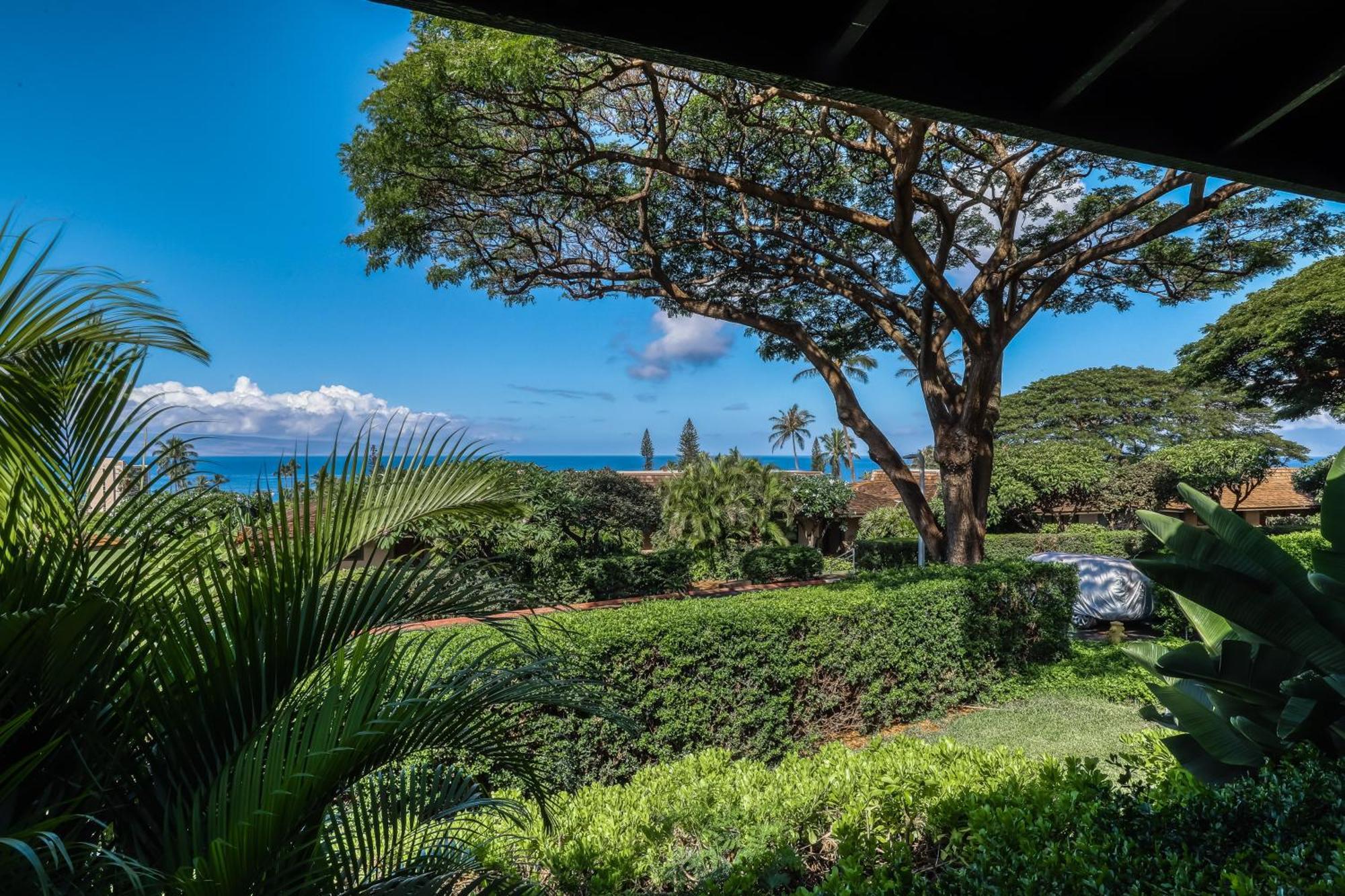 Kaanapali Plantation Condominiums Habitación foto